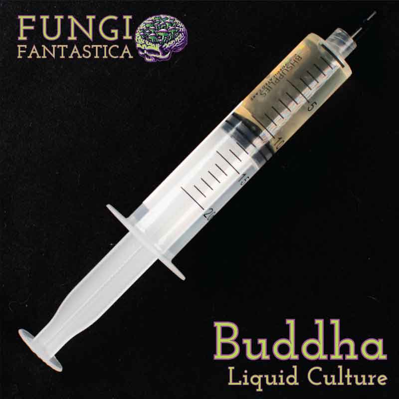 Buddha Liquid Culture