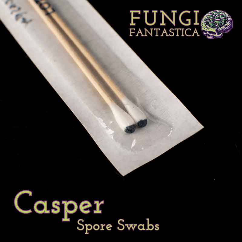 Casper Spore Swabs