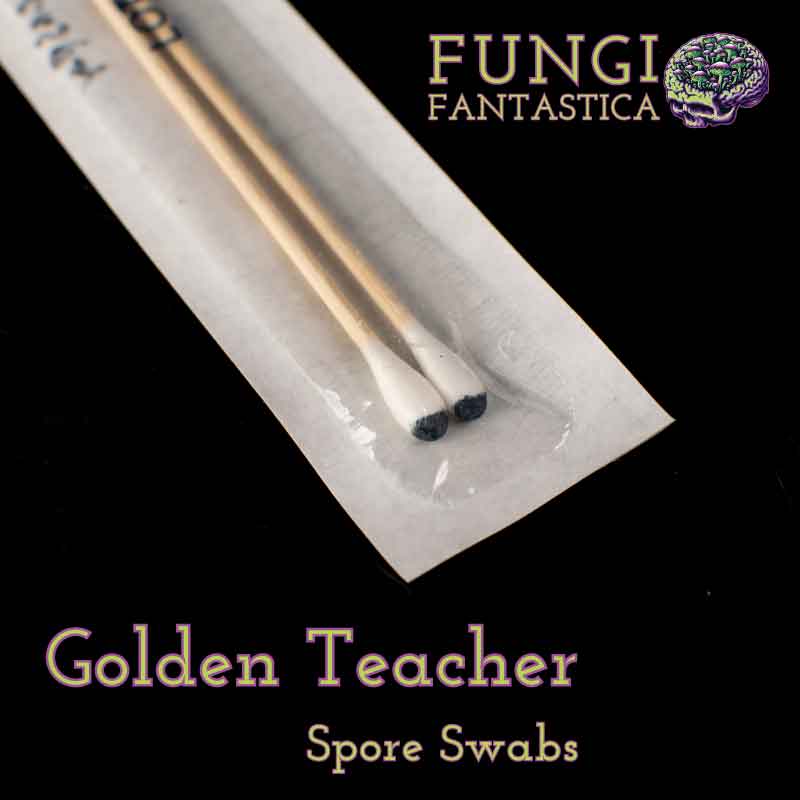 Golden Teacher Spore Swabs