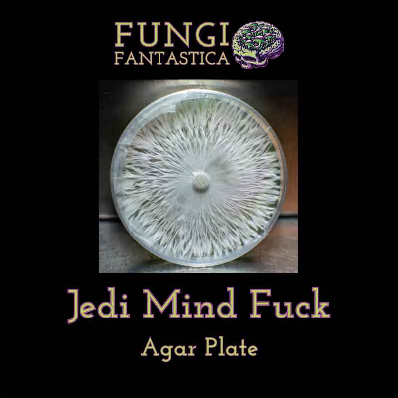 Jedi Mind Fuck Agar Plate