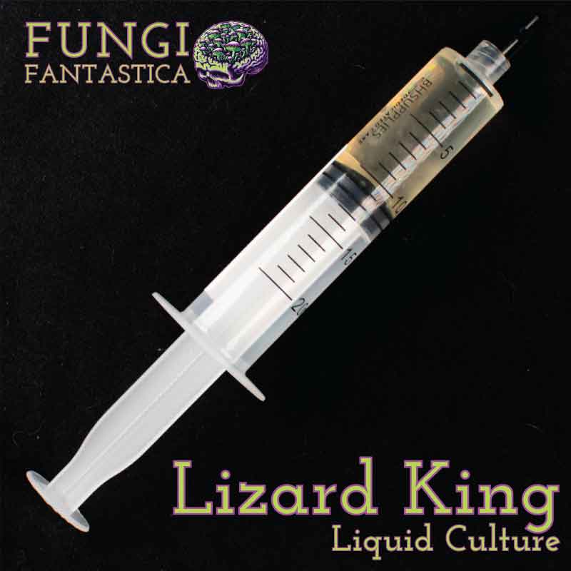 Lizard King Liquid Culture