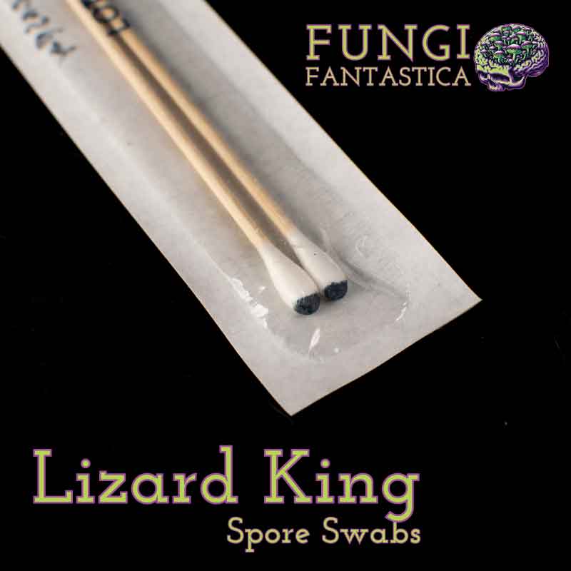 Lizard King Spore Swabs