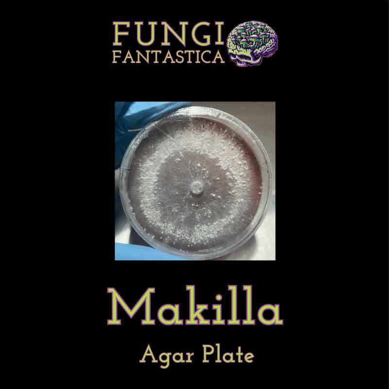 Makilla Agar Plate