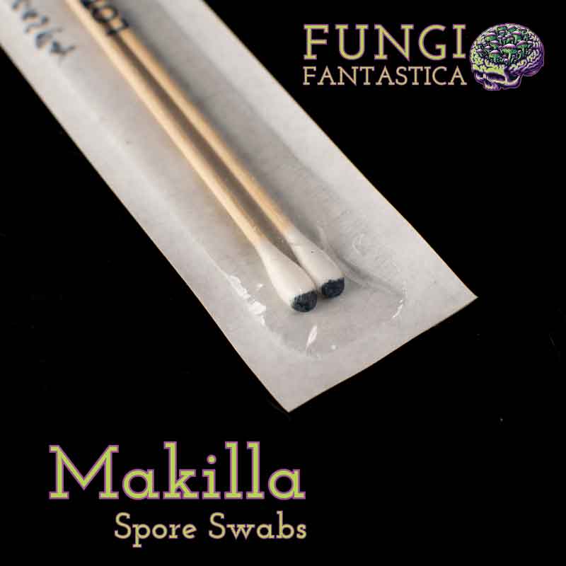 Makilla Spore Swabs