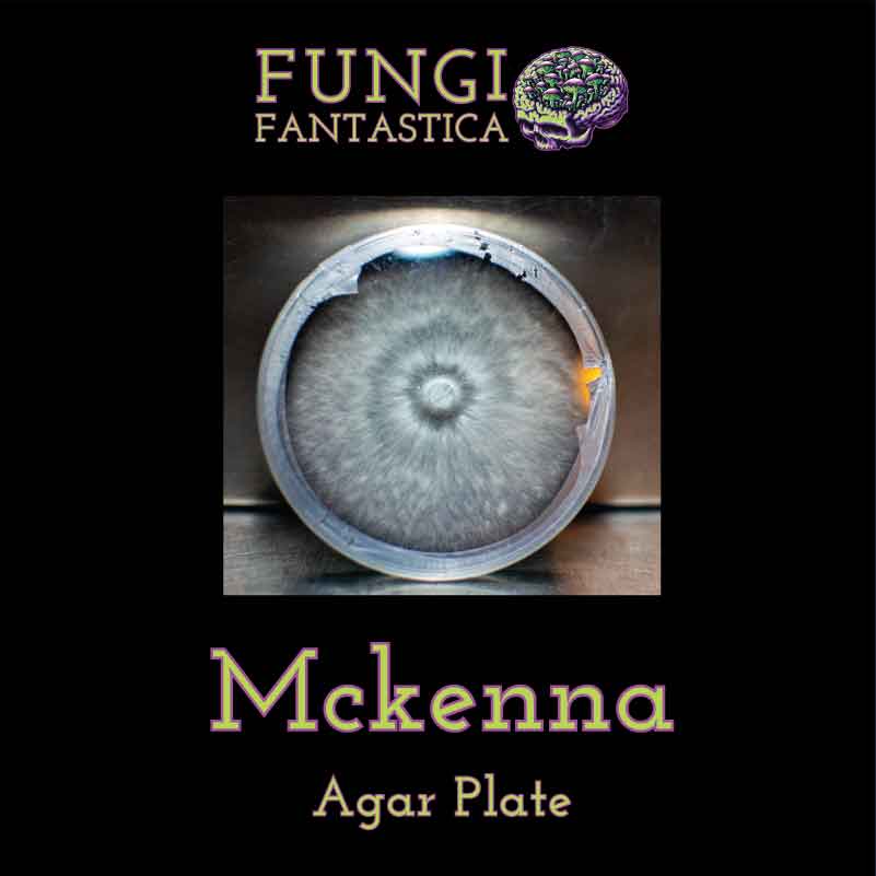 Mckenna Agar Plate