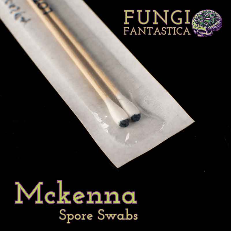 Mckenna Spore Swabs