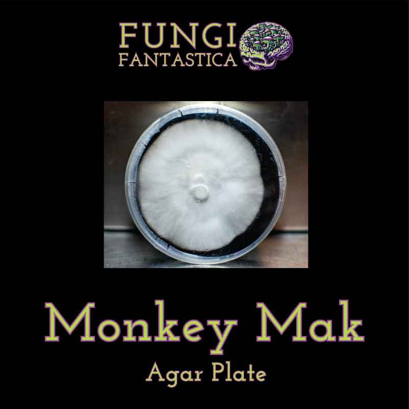 Monkey Mak Agar Plate