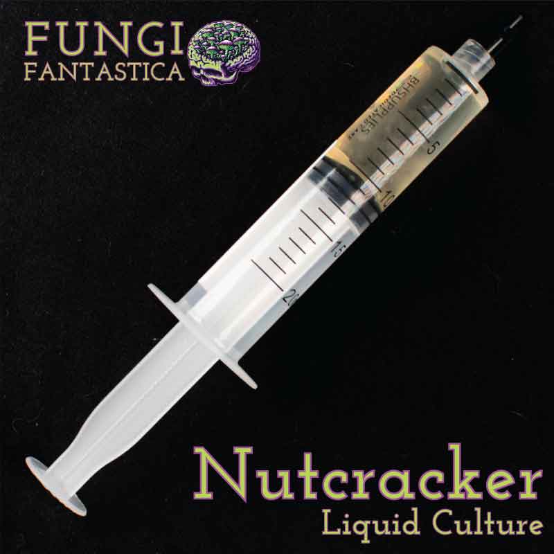 Nutcracker Liquid Culture