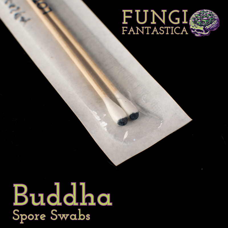 Buddha Spore Swabs